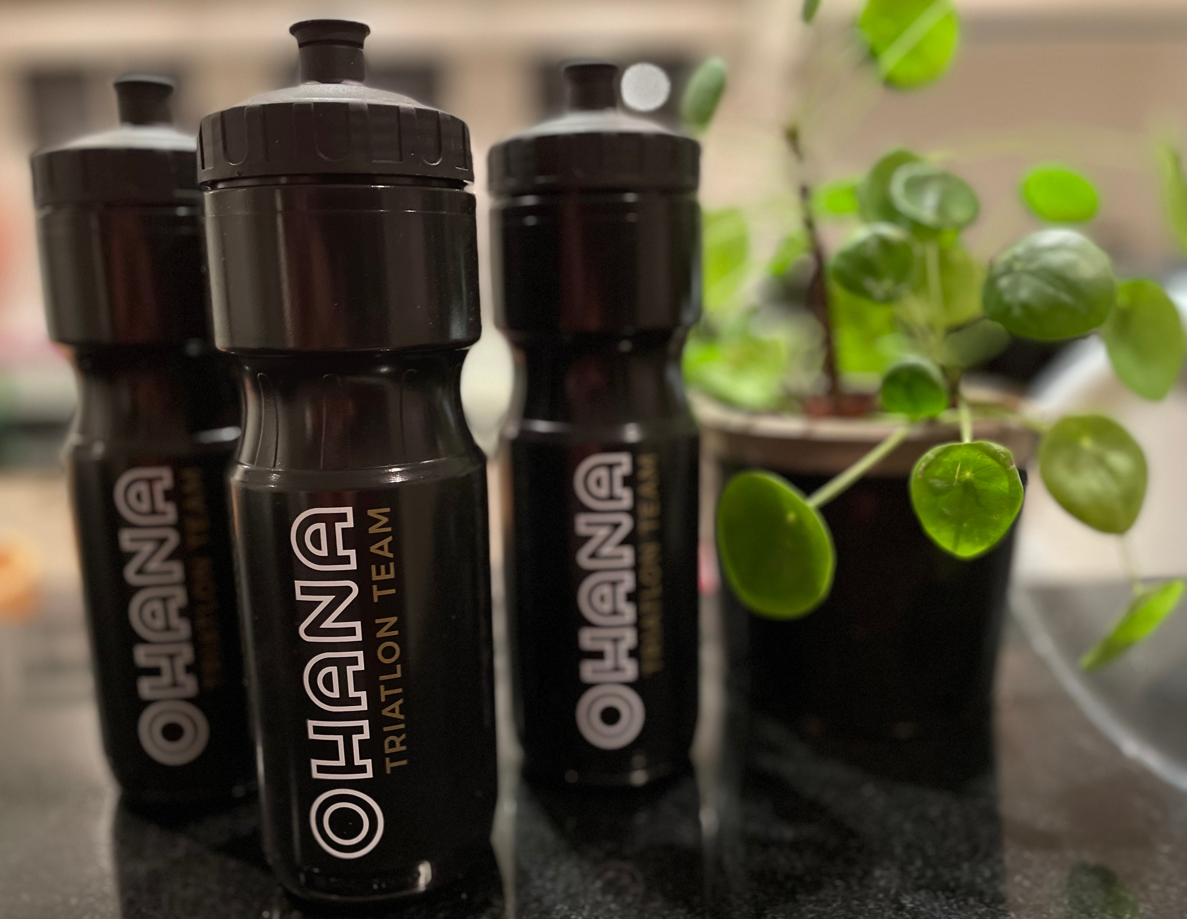 Accessoires - Bidon Ohana 800 ml